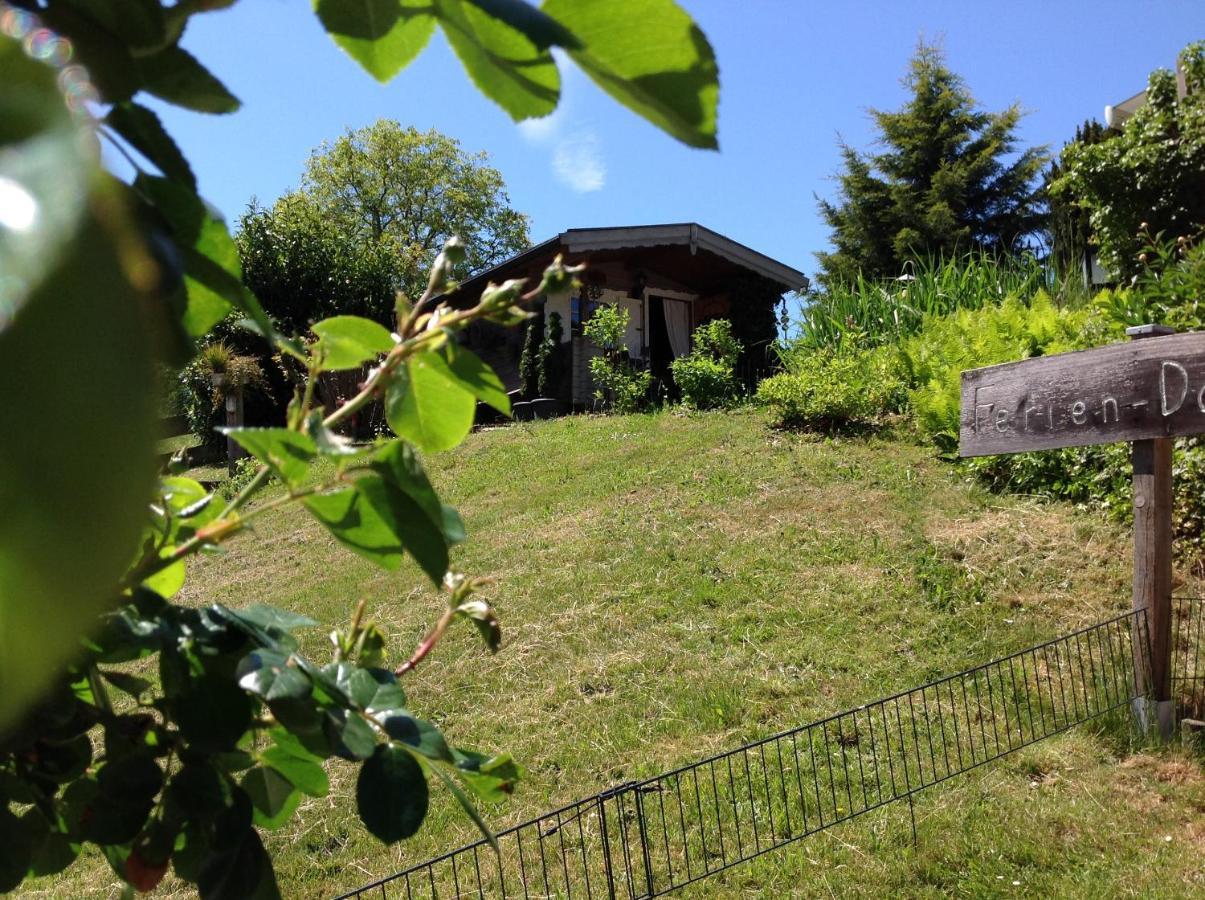 Ferienwohnung Casa Natura Reichelsheim Ngoại thất bức ảnh